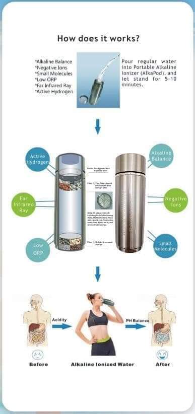 Alkaline Cup2